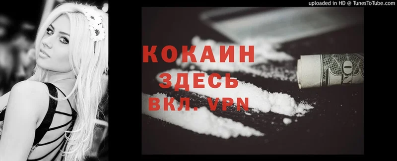 Cocaine Fish Scale  shop телеграм  Данилов  где купить  